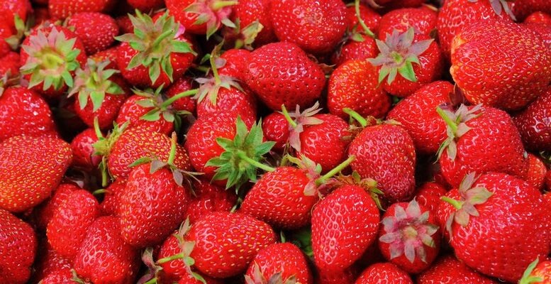 mesalnik-blendtec-designer-professional-total